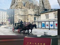 -斯蒂芬主教座堂(Stephansdom)