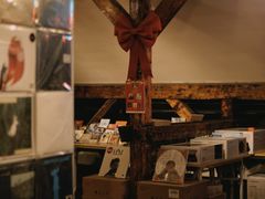 -树懒黑胶唱片店(中山路店)