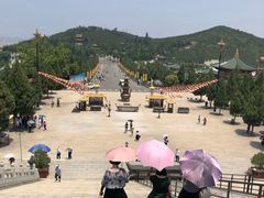 -龙口南山旅游景区