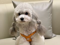 -木兰逸•泰式按摩•头疗•SPA(车公庙店)