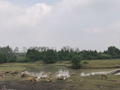 -溱湖国家湿地公园