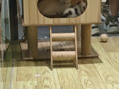 -废柴猫概念馆·桌游电玩卡牌(人广世茂店)