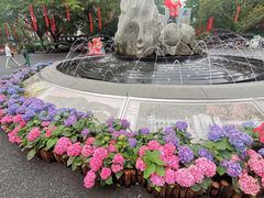 -广州市白云山风景名胜区