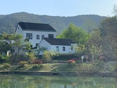 -树山生态村
