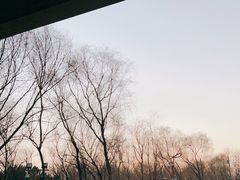 -野鸭湖国家湿地公园