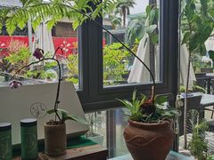 -若蘭慈·无国界素食料理(欢乐海岸店)