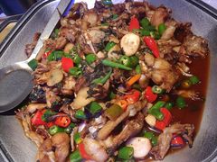 -蛙来哒(正荣财富店)