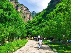 -十渡东湖港风景区