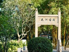 -晓港公园
