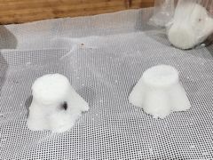 -锦记糕点铺