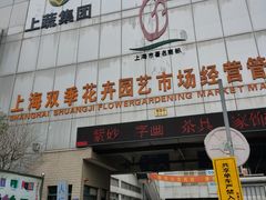 -双季花艺园艺市场(浦东店)