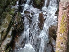 -藏龙百瀑风景区