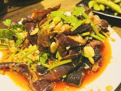 -老黑板筋(顺义总店)