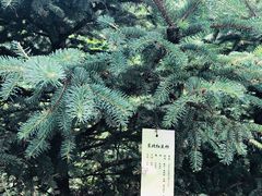 -帽儿山风景区