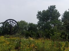 -溱湖国家湿地公园