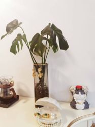 -美肤盾祛痘·问题肌头疗管理中心