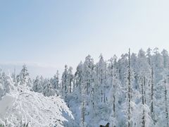 -瓦屋山景区
