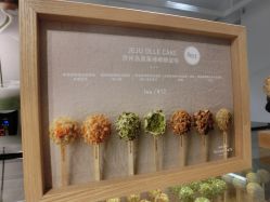 -悦诗风吟innisfree