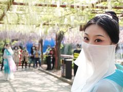 -嘉定紫藤园