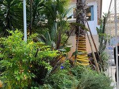 -三圣花乡旅游区