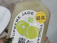 霸气玉柚柑-奈雪的茶(中海环宇荟店)