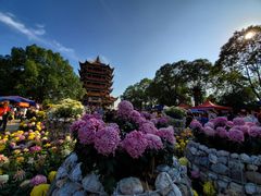 -富乐山