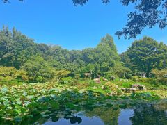 -杭州植物园