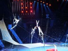 -珠海横琴长隆《卡卡虎奇遇记》