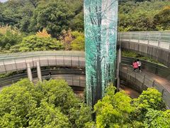 -福道