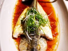 黄鱼-金美华轩(东方路齐鲁店)