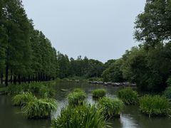 -圩墩遗址公园