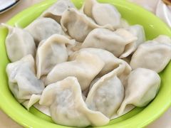 茴香鲜肉饺-北方饺子王·海肠捞饭·海鲜锅(山大店)