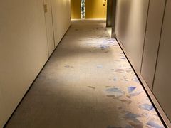 -广州奥园喜来登酒店
