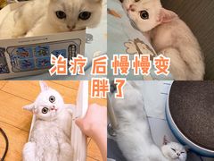 -美迦爱-牙专科·兔科·骨科诊疗中心(北苑店)