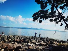 -深圳湾公园(南山区)