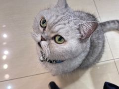 -Oasis绿洲银饰珍珠手作diy(壹方城店)