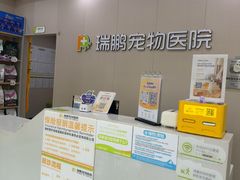 -瑞鹏宠物医院·骨外科·心肾科·肿瘤科(九亭店)