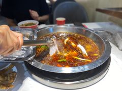 -蜀滋香鲜鱼美蛙火锅(339店)