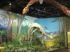 -天津自然博物馆