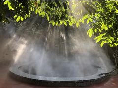 -天门沟九州驿站树上汤泉