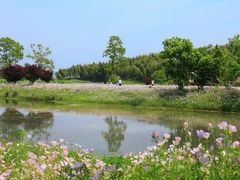 -良渚古城遗址公园