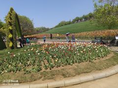 -沈阳植物园