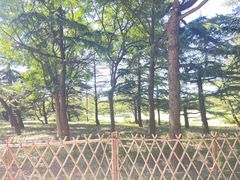 -泰丰公园