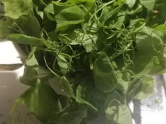 -钢管厂五区小郡肝串串香(奥克斯广场锦城万达店)
