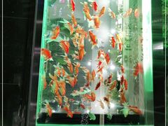 -阳光院坝小龙虾(红牌楼店)
