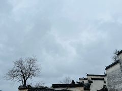 -塔川景区