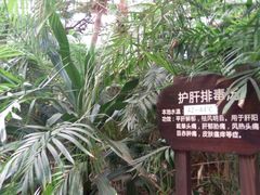 -龙达温泉生态城