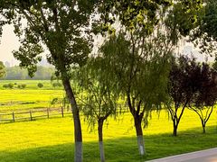 -汉长安城未央宫国家考古遗址公园