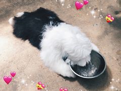 -TrueLove @ Neverland (Husky Cafe)