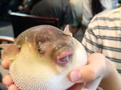 -永安鱼庄·镇江菜(东吴路店)